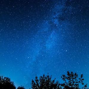 黄色在线视频播放
